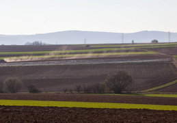 Melsheim - montre les photos à la racine de cet album Melsheim