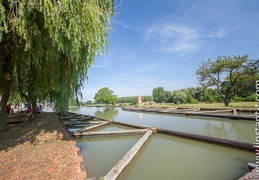 Canal-089