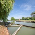 Canal-089.jpg