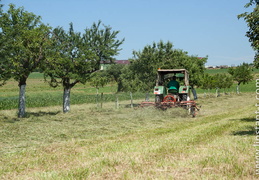 Tracteurs-020