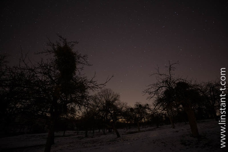Nuit étoilée sur un verger en hiver. Ciel-088.jpg