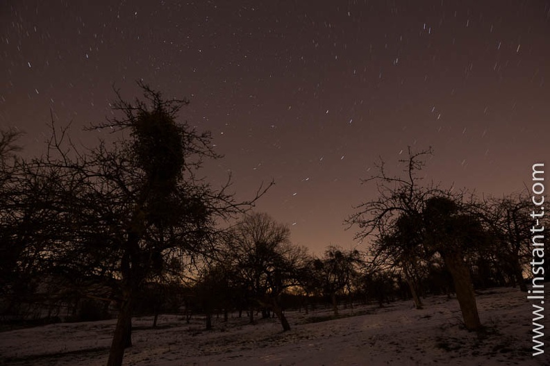 Nuit étoilée sur un verger en hiver, Bas-Rhin. Ciel-089.jpg