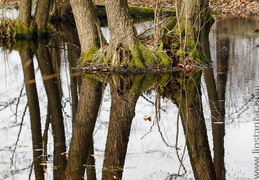 Reflets-02
