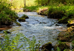 Riviere-018