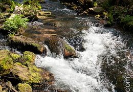 Riviere-023