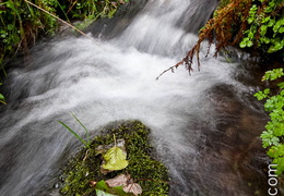Ruisseau-050