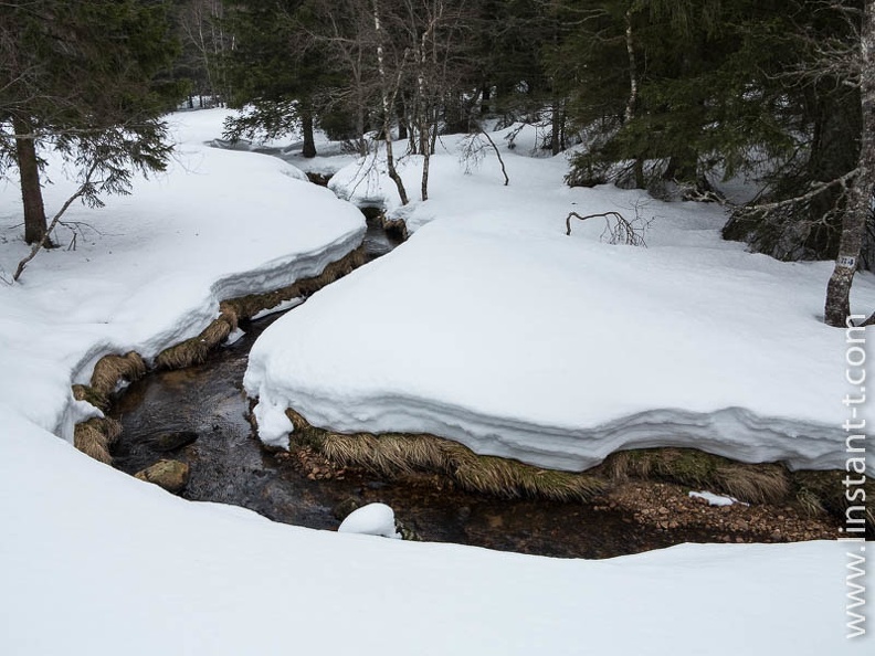 Le ruisseau du Chitelet, La Bresse, département des Vosges. Ruisseau-052.jpg