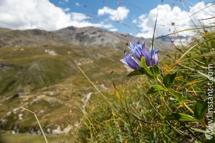 GrandParadis-J5-40