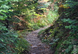 Sentier