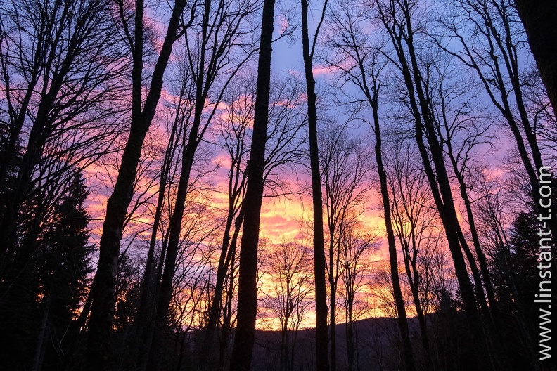 Lever de soleil flamboyant à travers la forêt en hiver dans la vallée de la Lièpvrette, Alsace, France Liepvrette-15.jpg