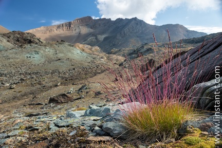 GrandParadis-J3-24