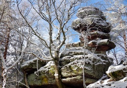Steinnenle Maennel-008