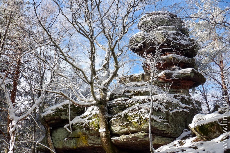 Le Steinnenle Maennel sous la neige Steinnenle_Maennel-008.jpg