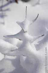 Neige-011-2