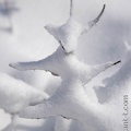 Neige-011-2