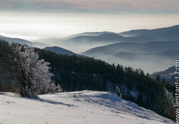 Neige-013