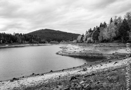 Badener Hohe-033