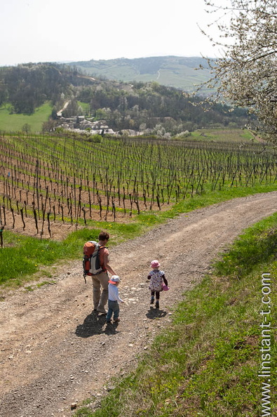 Une mère promène ses filles près de Scharrachbergheim Chemin-025.jpg