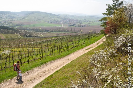 Chemin-029