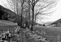 Chemin-038