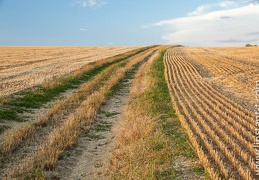 Chemin-116