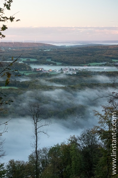 Brume matinale sur la forêt, région Bourgogne-Franche-Comté, France Doubs-151.jpg