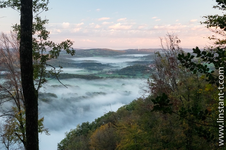 Brume matinale sur la forêt, région Bourgogne-Franche-Comté, France Doubs-153.jpg