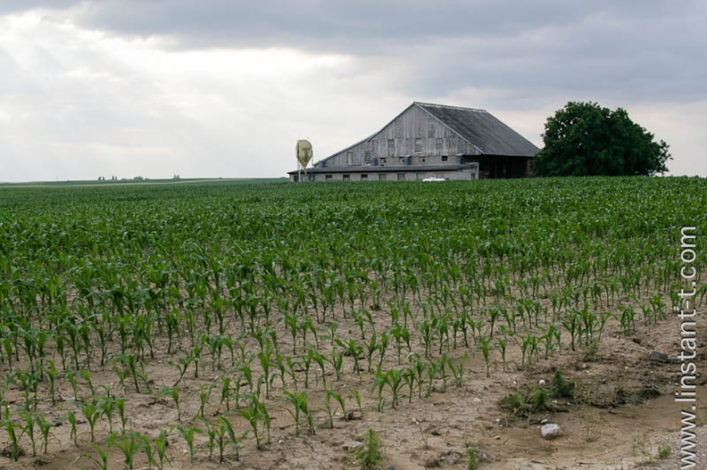 Ferme-003.jpg