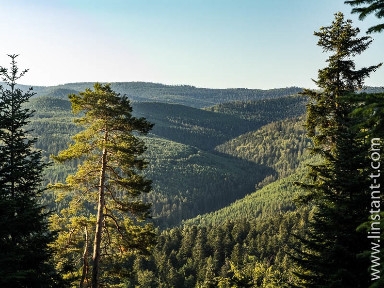 Depuis des milliers d'années la Zorn Jaune creuse sa vallée dans le grès rose des Vosges, Walscheid, Moselle. Foret-314.jpg