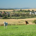 Plaine-018