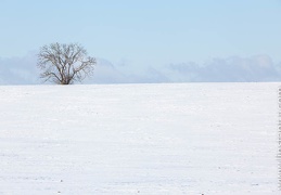Plaine-172