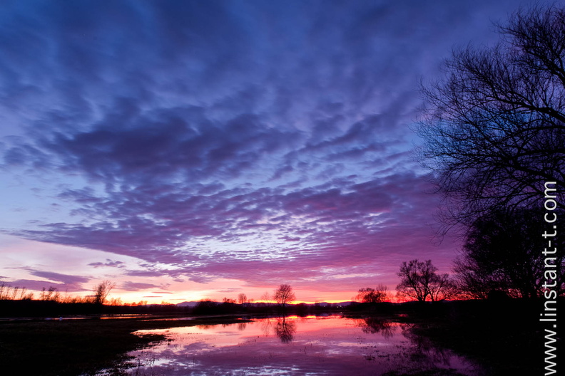 Couché de soleil sur des prés inondés. Le ciel est un dégradé du jaune flamboyant au bleu intense. Sunset-029.jpg