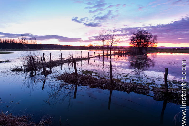 Couché de soleil sur des prés inondés. Le ciel est un dégradé du jaune flamboyant au bleu intense. Sunset-031.jpg