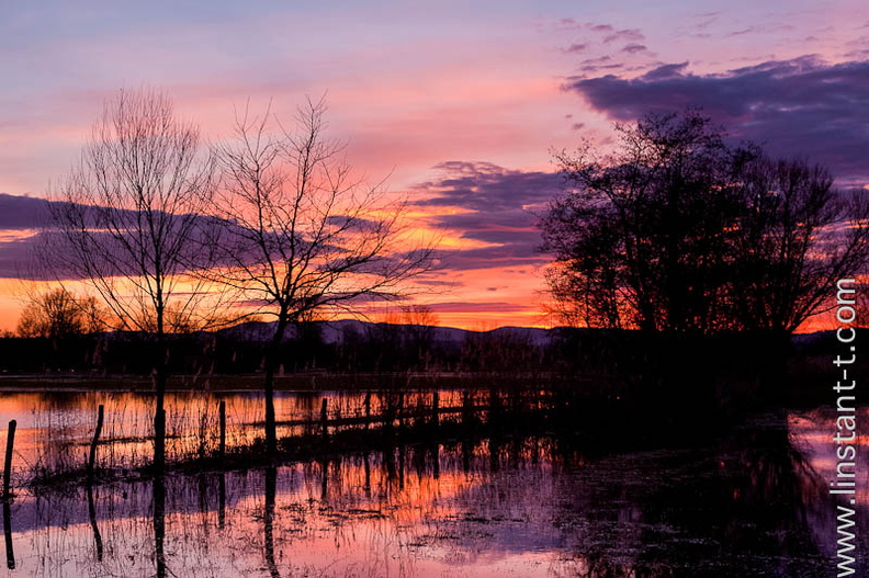 Couché de soleil sur des prés inondés. Le ciel est un dégradé du jaune flamboyant au bleu intense. Sunset-040.jpg