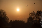 Paysages