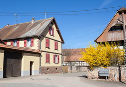 Geiswil-009