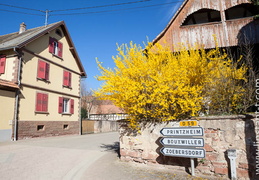Geiswil-010