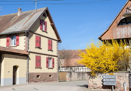Geiswil-011