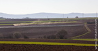 Melsheim