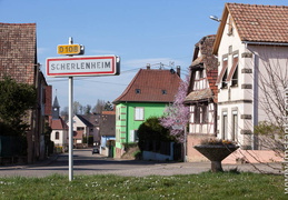Scherlenheim-036