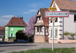 Scherlenheim-038