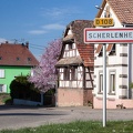 Scherlenheim-038