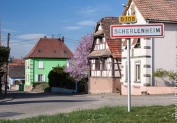 Scherlenheim-039