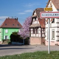 Scherlenheim-039