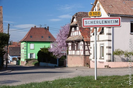 Scherlenheim-039