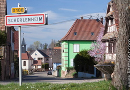 Scherlenheim-040
