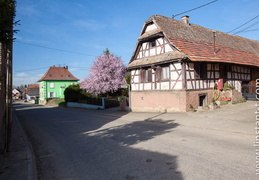 Scherlenheim-042