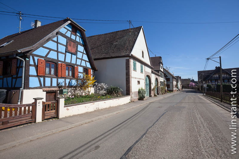 Une rue du village avec des maisons alsaciennes. Wickersheim-Wilshausen-002.jpg