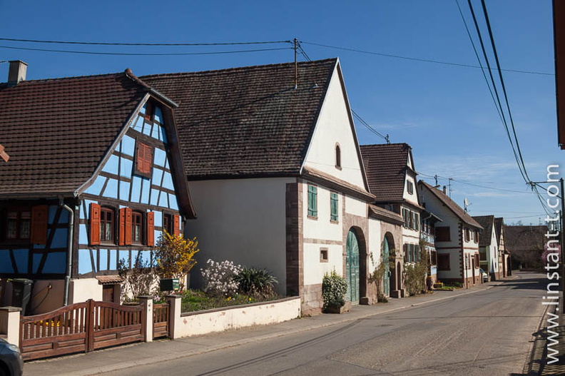 Wickersheim-Wilshausen-003.jpg