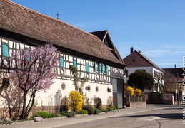 Wickersheim-Wilshausen-006
